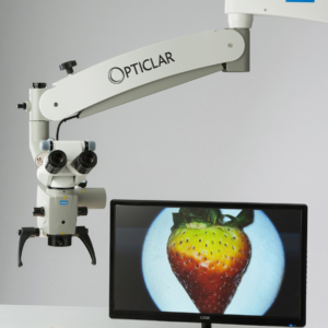 Dental Microscope Strawberry Examination