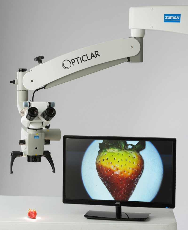 Dental Microscope Strawberry Examination