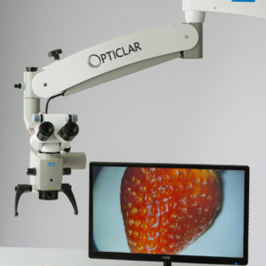 Dental Microscope Strawberry Examination 2