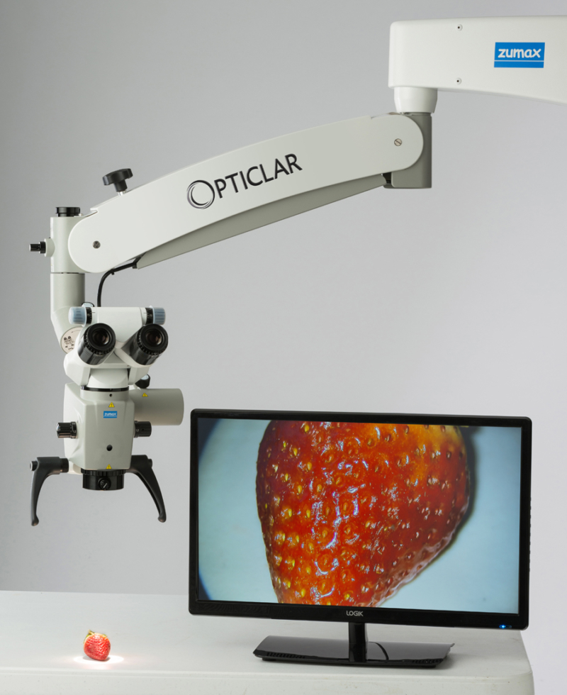 Dental Microscope Strawberry Examination 2