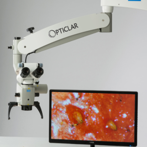 Dental Microscope Strawberry Examination 3
